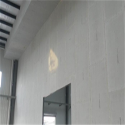靖江宁波ALC板|EPS加气板隔墙与混凝土整浇联接的实验研讨